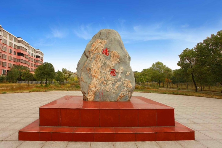 公司相冲